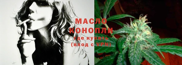 бошки Снежногорск