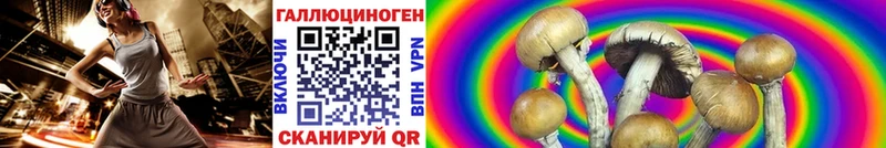 Галлюциногенные грибы GOLDEN TEACHER  Купить  Нефтекамск 